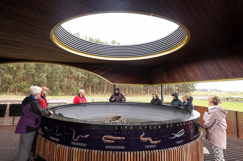 A guide explains about the life cycle of eels at the kooyang display tank